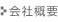 公司概况